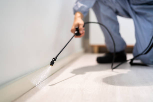 Professional exterminator conducting IPM assessment in Alamogordo