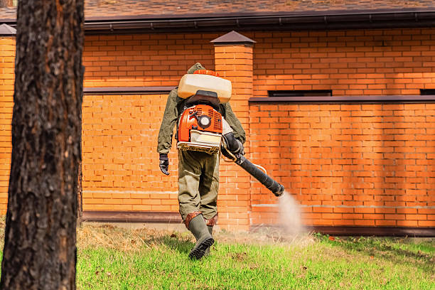 Bed Bug Clearance Verification and Documentation in Alamogordo